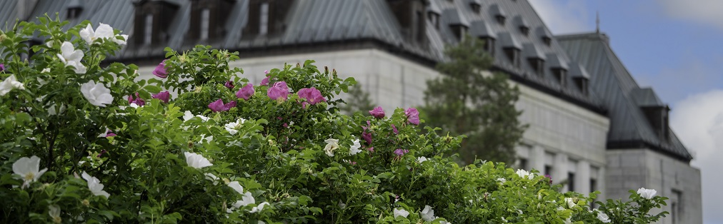 Des fleurs devant l’édifice de la Cour suprême du Canada
