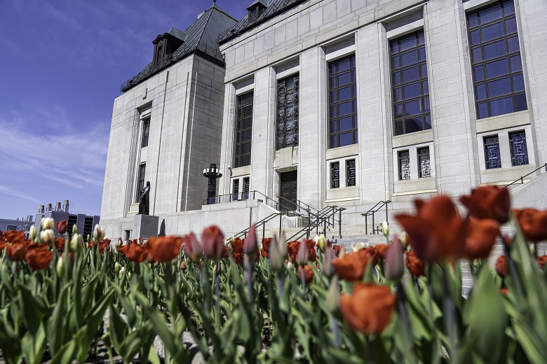 Tulips in from of the Supreme Court of Canada building