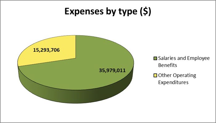 Expenses by Type (in dollars)