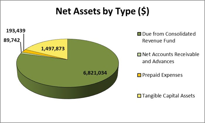 Net Assets by Type (in dollars)