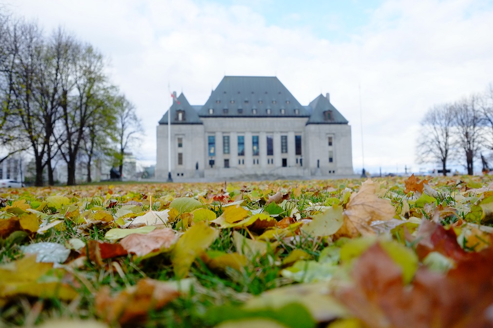 L’édifice de la Cour suprême du Canada avec des feuilles automnales au sol