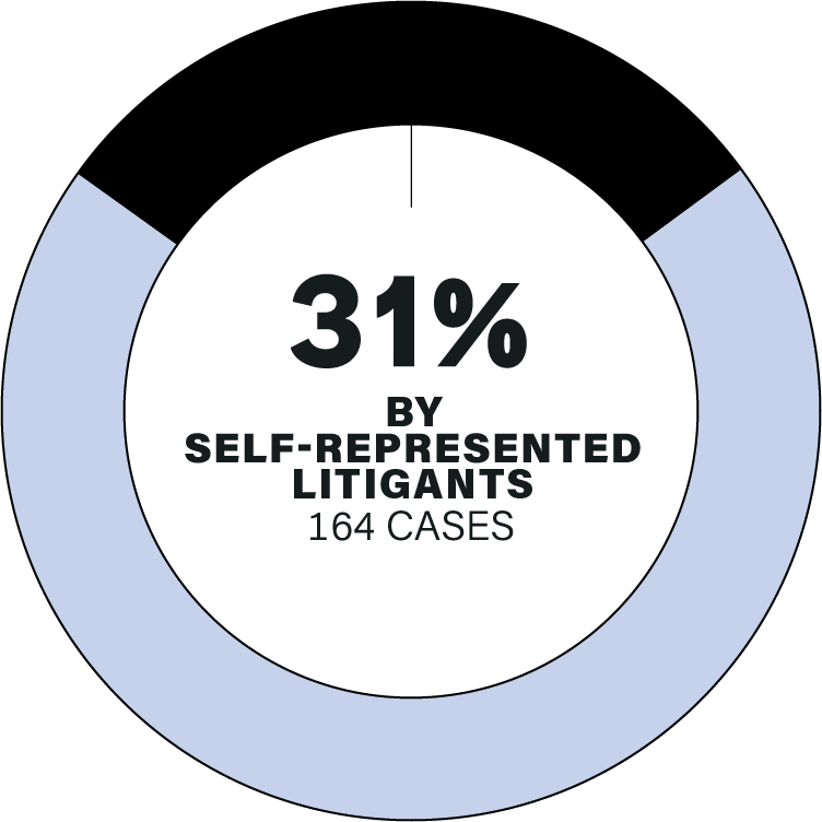 A pie chart showing 31% of applications filed by self-represented litigants, or 164 cases